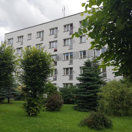 Apartmán Apartament Kotewka 2 Zator Exteriér fotografie